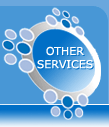 Other Services